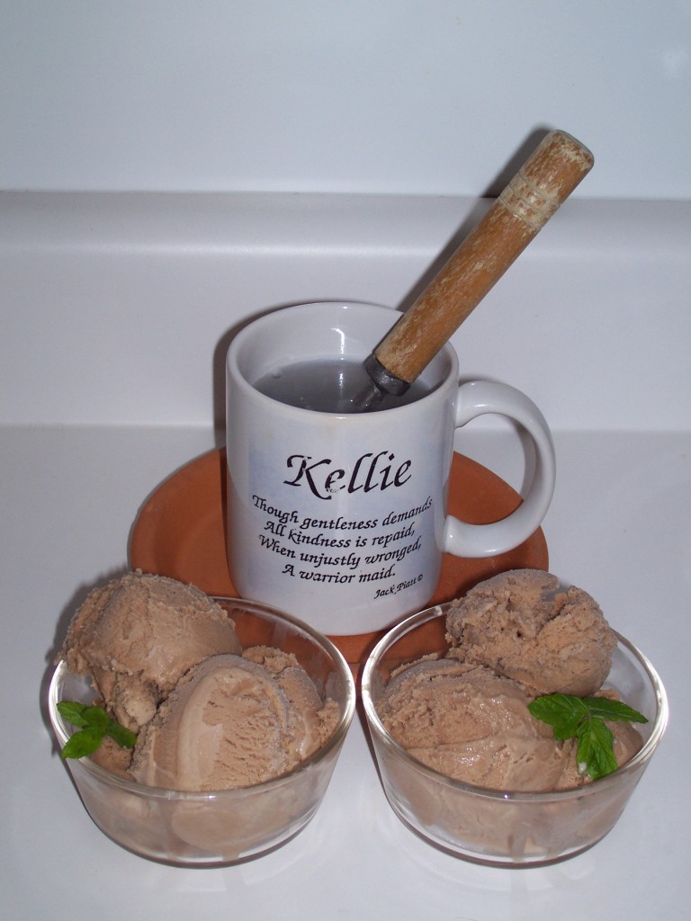 Homemade chocolate mint ice cream with a garnish of fresh mint