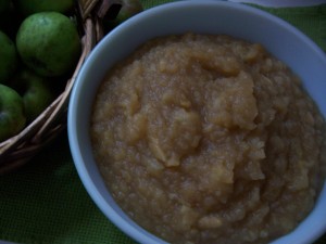 AppleSauce Homemade Applesauce